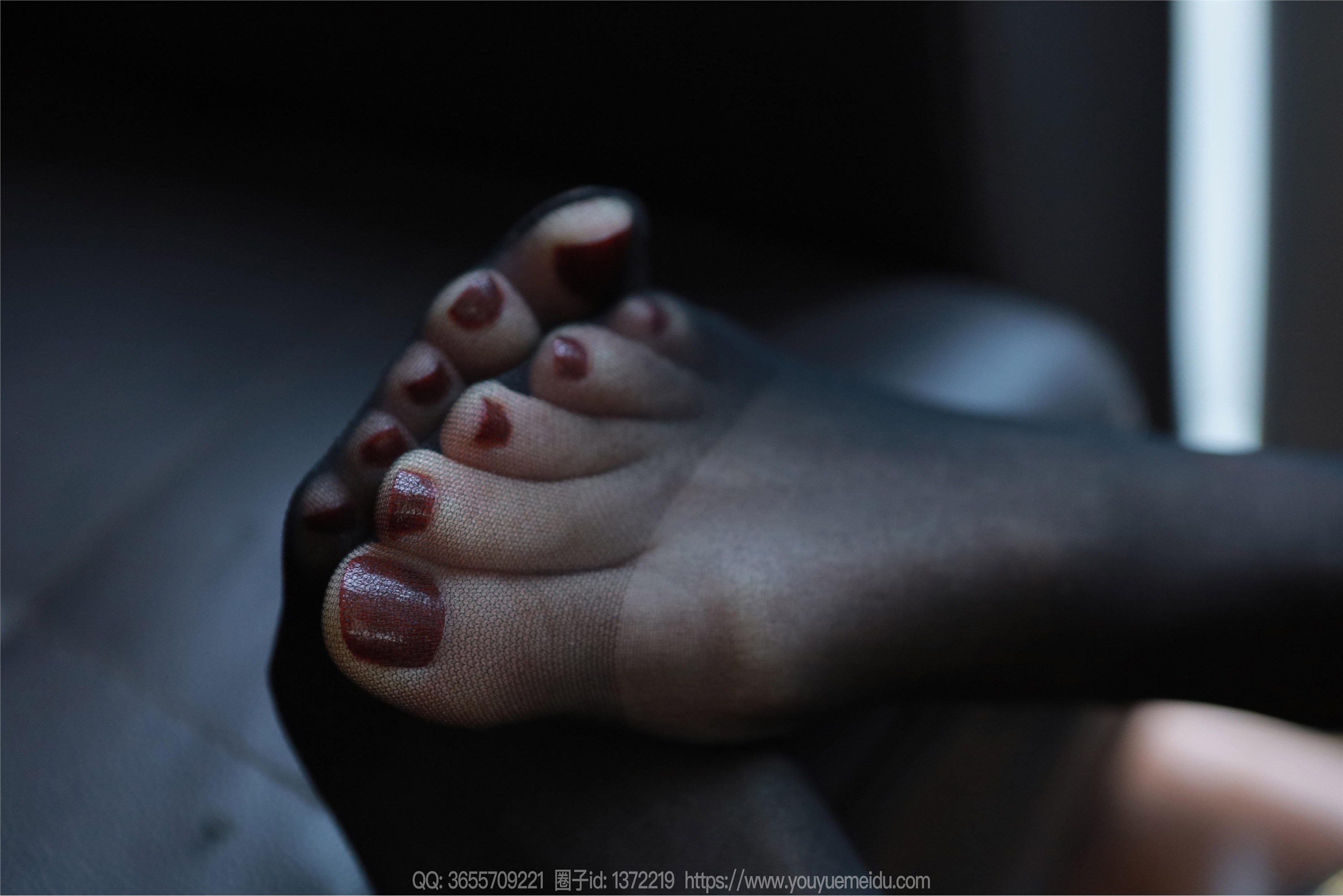 IESS异思趣向  2023.12.20 丝享家 1616 团团《乌黑红润》